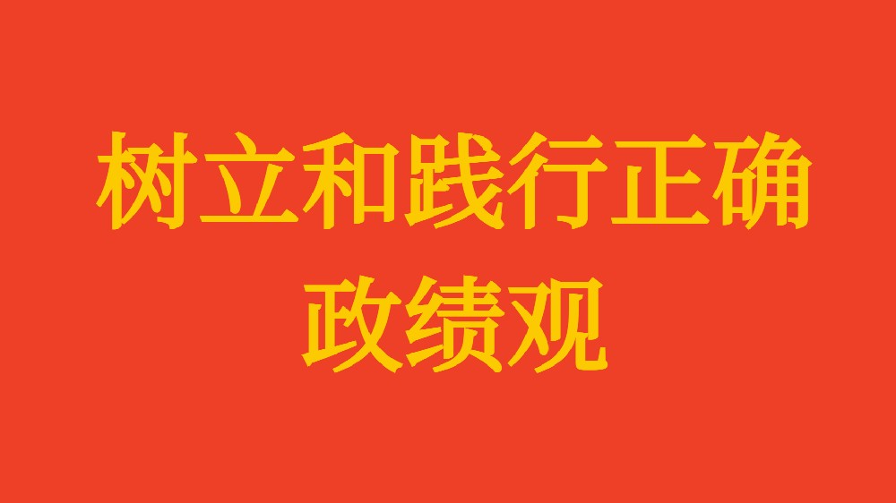 實(shí)干擔(dān)當(dāng) 為民造?！?xí)近平總書(shū)記引領(lǐng)全黨樹(shù)立和踐行正確政績(jī)觀(guān)